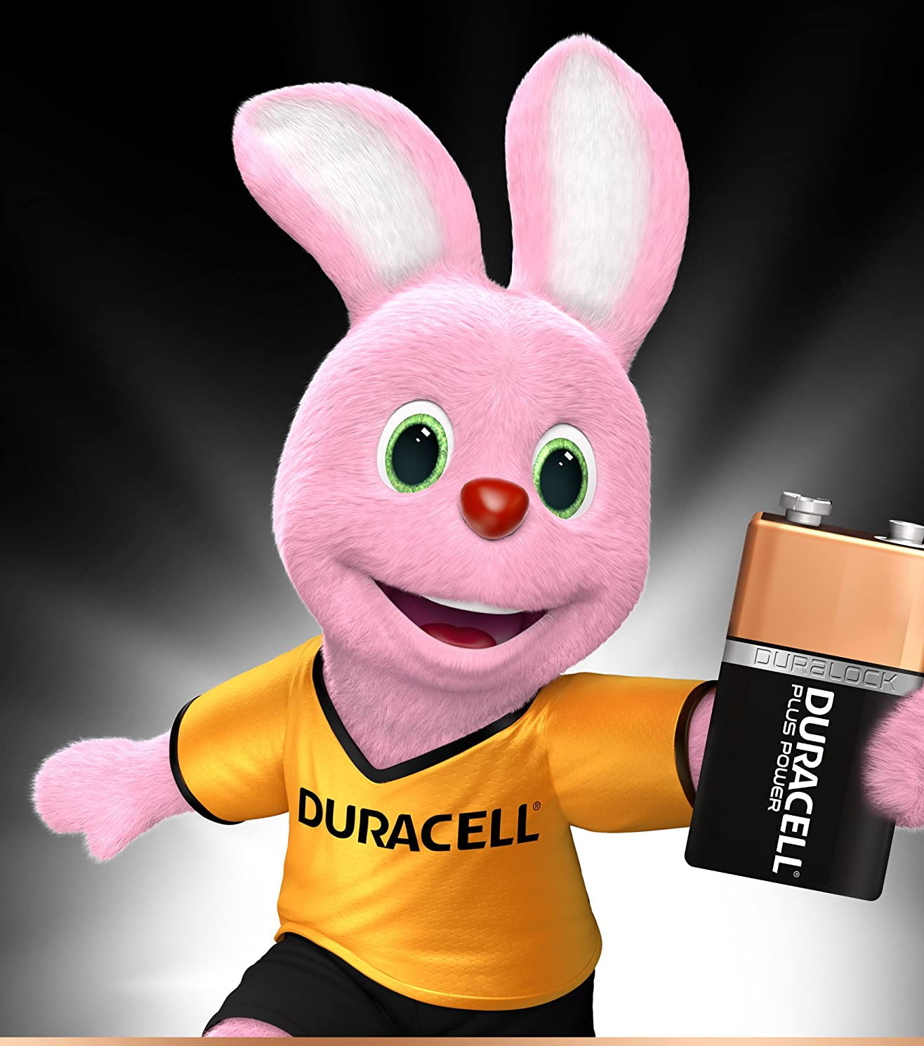 Duracell alkalická baterie Basic 9V 6LR61 Prodej po ks