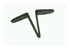 Extra Carp Pellet Holder