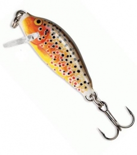 Rapala Count Down 2,5cm TR