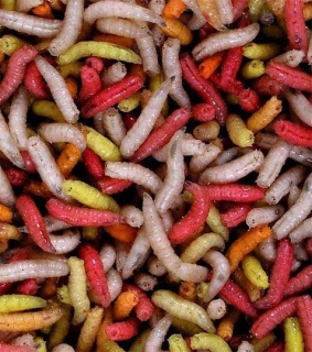 Červi MIX (krabička 0,8 dcl)